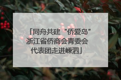 同舟共建“侨爱岛” 浙江省侨商会青委会代表团走进嵊泗