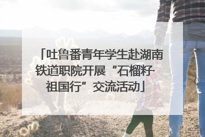 吐鲁番青年学生赴湖南铁道职院开展“石榴籽·祖国行”交流活动