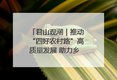 君山观潮｜推动“四好农村路”高质量发展 助力乡村振兴出新彩
