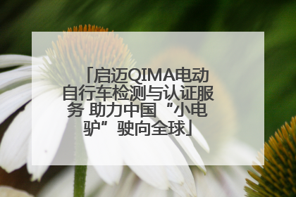 启迈QIMA电动自行车检测与认证服务 助力中国“小电驴”驶向全球