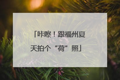 咔嚓！跟福州夏天拍个“荷”照