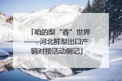 咱的梨“香”世界——河北鲜梨出口产销对接活动侧记