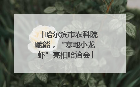 哈尔滨市农科院赋能，“寒地小龙虾”亮相哈洽会