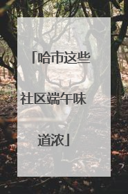 哈市这些社区端午味道浓