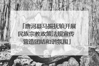 唐河县马振抚镇开展民族宗教政策法规宣传 营造团结和谐氛围