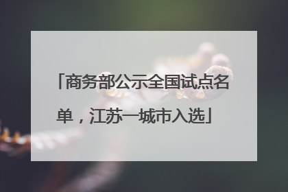 商务部公示全国试点名单，江苏一城市入选