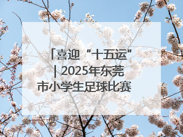 喜迎“十五运”｜2025年东莞市小学生足球比赛圆满收官