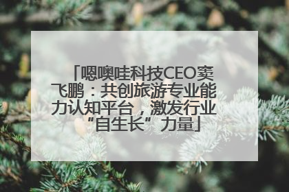嗯噢哇科技CEO窦飞鹏：共创旅游专业能力认知平台，激发行业“自生长”力量