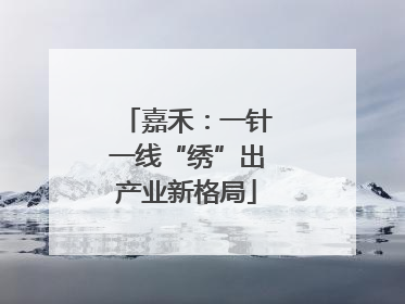 嘉禾：一针一线“绣”出产业新格局