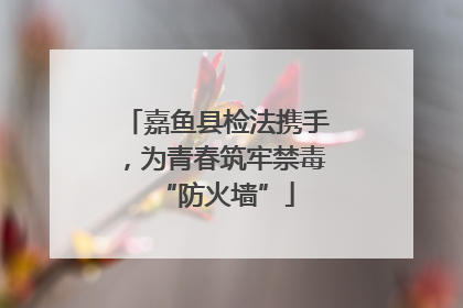 嘉鱼县检法携手，为青春筑牢禁毒“防火墙”