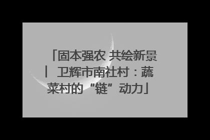 固本强农 共绘新景 ︳卫辉市南社村：蔬菜村的“链”动力