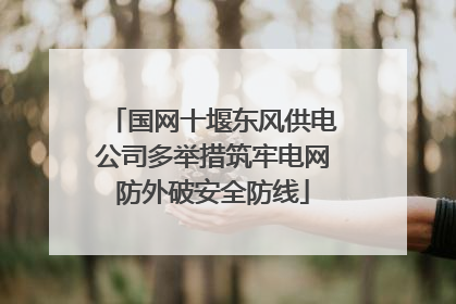 国网十堰东风供电公司多举措筑牢电网防外破安全防线