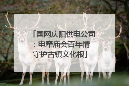 国网庆阳供电公司：电牵庙会百年情 守护古镇文化根