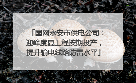 国网永安市供电公司：迎峰度夏工程按期投产，提升输电线路防雷水平