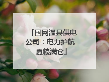 国网温县供电公司：电力护航 夏粮满仓