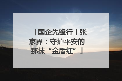 国企先锋行丨张家界：守护平安的那抹“金盾红”