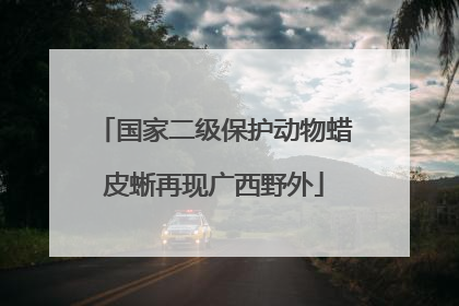 国家二级保护动物蜡皮蜥再现广西野外