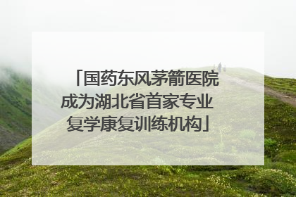 国药东风茅箭医院成为湖北省首家专业复学康复训练机构