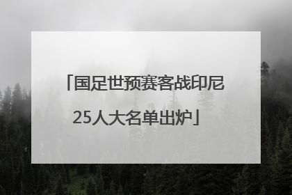 国足世预赛客战印尼25人大名单出炉