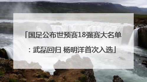 国足公布世预赛18强赛大名单：武磊回归 杨明洋首次入选