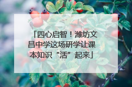 四心启智！潍坊文昌中学这场研学让课本知识“活”起来