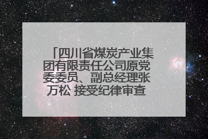 四川省煤炭产业集团有限责任公司原党委委员、副总经理张万松 接受纪律审查和监察调查