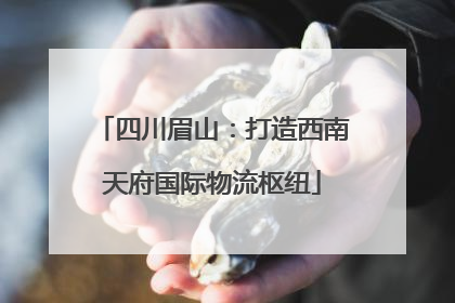 四川眉山：打造西南天府国际物流枢纽