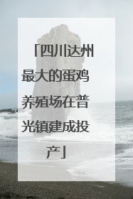 四川达州最大的蛋鸡养殖场在普光镇建成投产