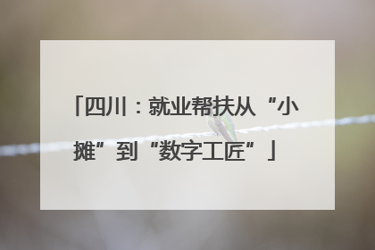 四川：就业帮扶从“小摊”到“数字工匠”