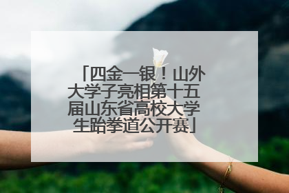 四金一银！山外大学子亮相第十五届山东省高校大学生跆拳道公开赛