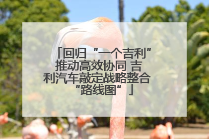 回归“一个吉利” 推动高效协同 吉利汽车敲定战略整合“路线图”
