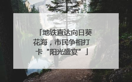 地铁直达向日葵花海，市民争相打卡“阳光盛宴”
