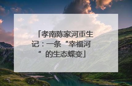 孝南陈家河重生记：一条“幸福河”的生态蝶变