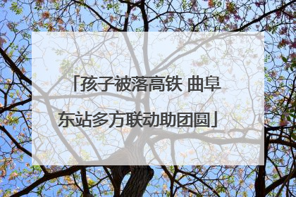 孩子被落高铁 曲阜东站多方联动助团圆