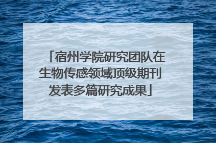 宿州学院研究团队在生物传感领域顶级期刊发表多篇研究成果