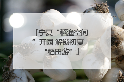 宁夏“稻渔空间”开园 解锁初夏“稻田游”