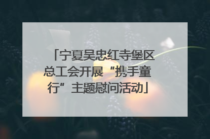 宁夏吴忠红寺堡区总工会开展“携手童行”主题慰问活动