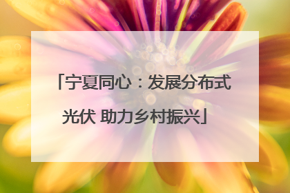 宁夏同心：发展分布式光伏 助力乡村振兴