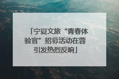 宁夏文旅“青春体验官”招募活动在蓉引发热烈反响