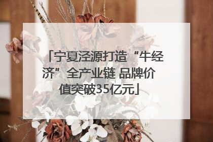 宁夏泾源打造“牛经济”全产业链 品牌价值突破35亿元