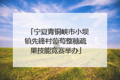 宁夏青铜峡市小坝镇先锋村葡萄整穗疏果技能竞赛举办