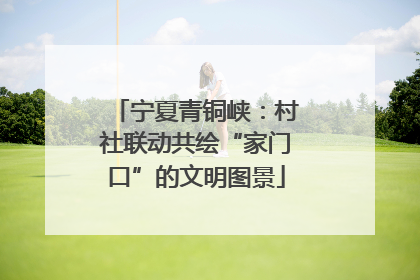宁夏青铜峡：村社联动共绘“家门口”的文明图景