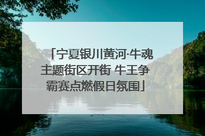 宁夏银川黄河·牛魂主题街区开街 牛王争霸赛点燃假日氛围