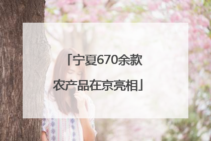 宁夏670余款农产品在京亮相
