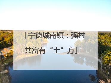 宁德城南镇：强村共富有“土”方
