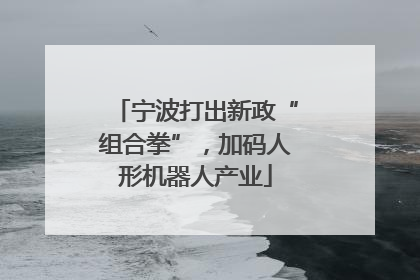 宁波打出新政“组合拳”，加码人形机器人产业