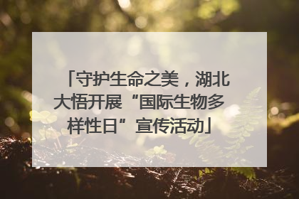 守护生命之美，湖北大悟开展“国际生物多样性日”宣传活动