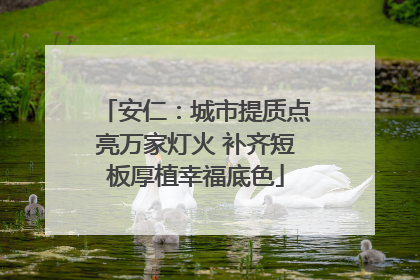 安仁：城市提质点亮万家灯火 补齐短板厚植幸福底色