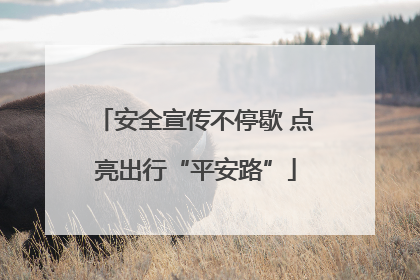 安全宣传不停歇 点亮出行“平安路”