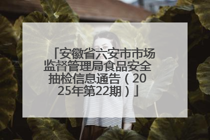 安徽省六安市市场监督管理局食品安全抽检信息通告（2025年第22期）